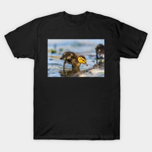 Duckling T-Shirt